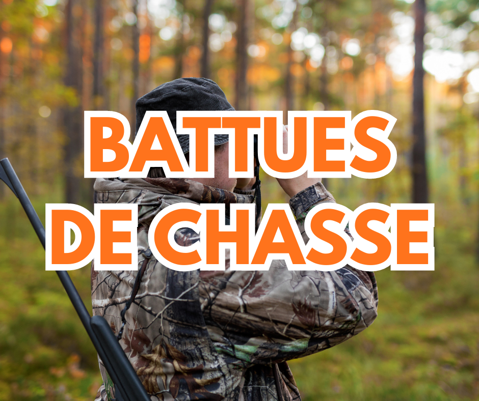 Battues de chasse 2024-2025