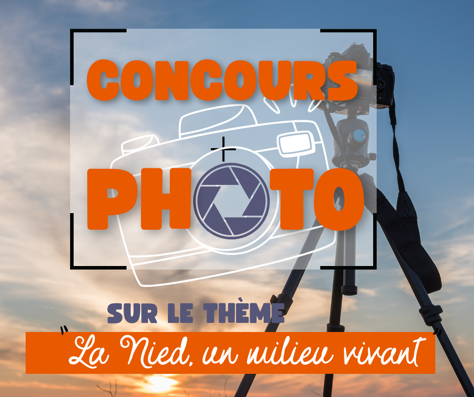 Concours photo