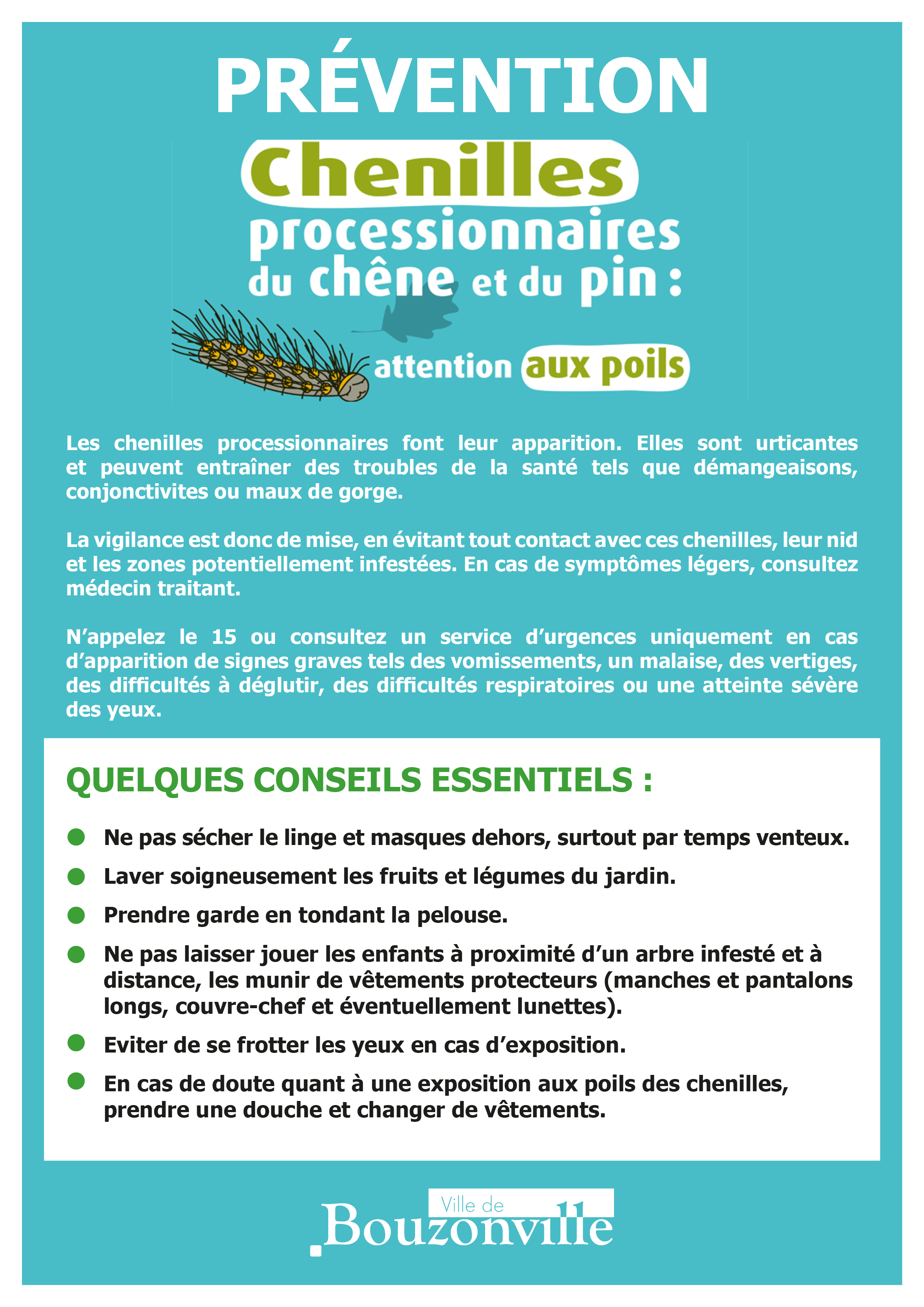 ATTENTION AUX CHENILLES URTICANTES