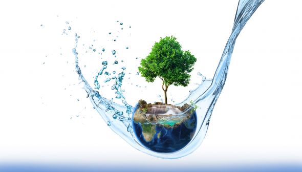 Journée de l'Environnement