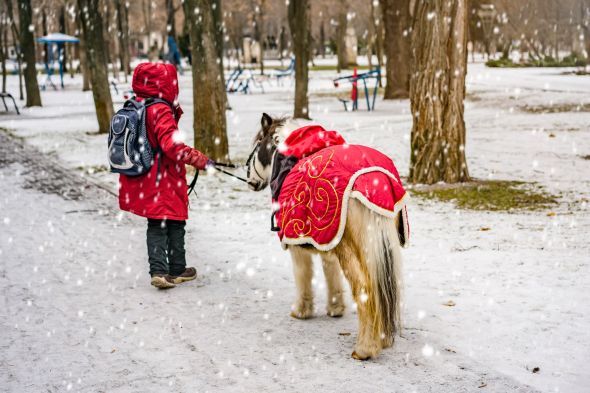 Activités ludiques avec poneys