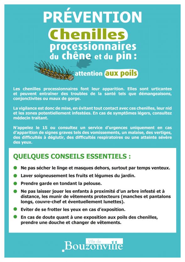 ATTENTION AUX CHENILLES URTICANTES